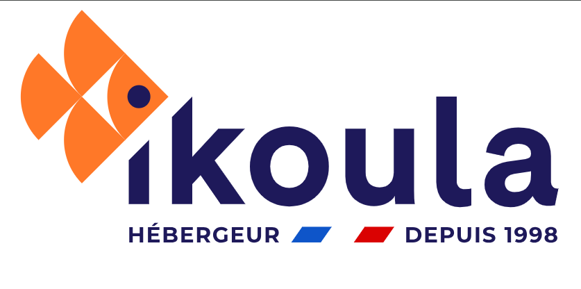 sauvegarde en ligne